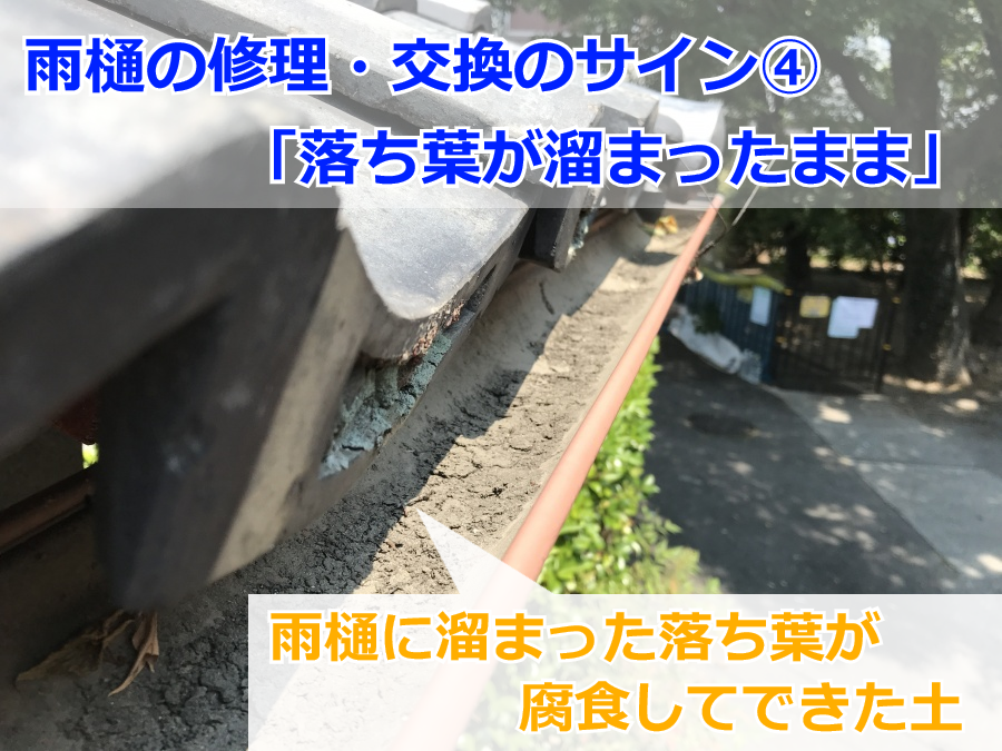 軒樋に溜まった土