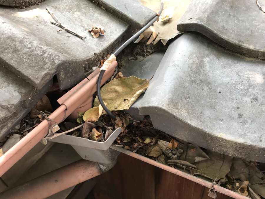 木が真上にありますので、こちらも落ち葉がつまり排水が出来なくなっていました。