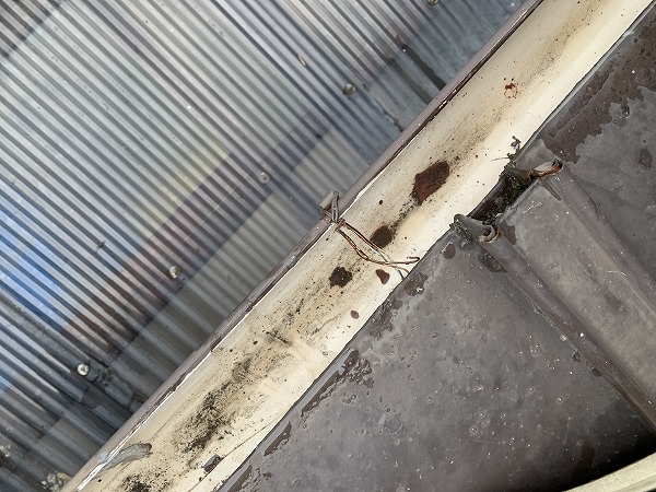 緊結線が錆びています