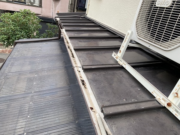 軒樋半丸の様子