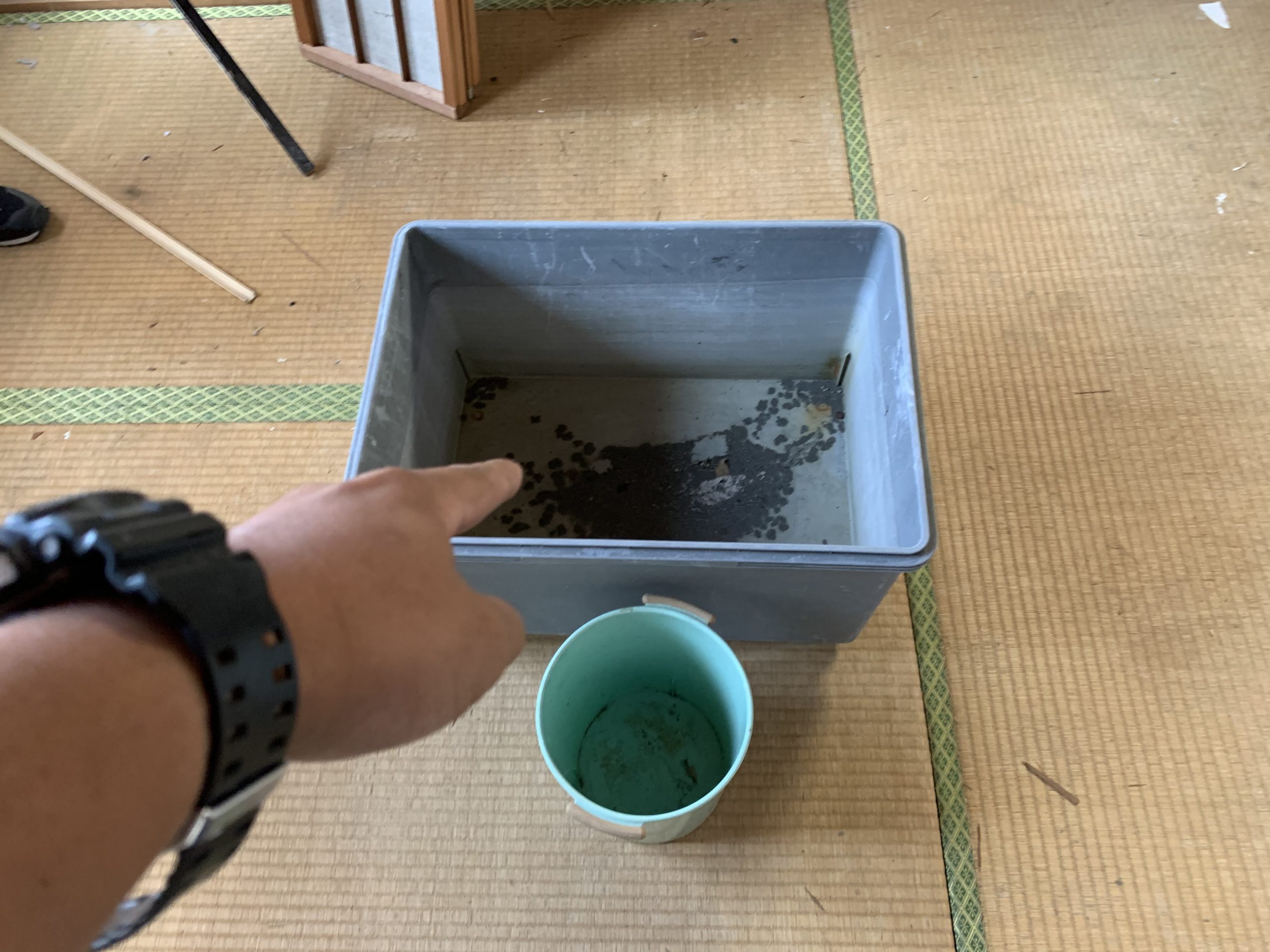 雨漏りを受け止めるバケツ