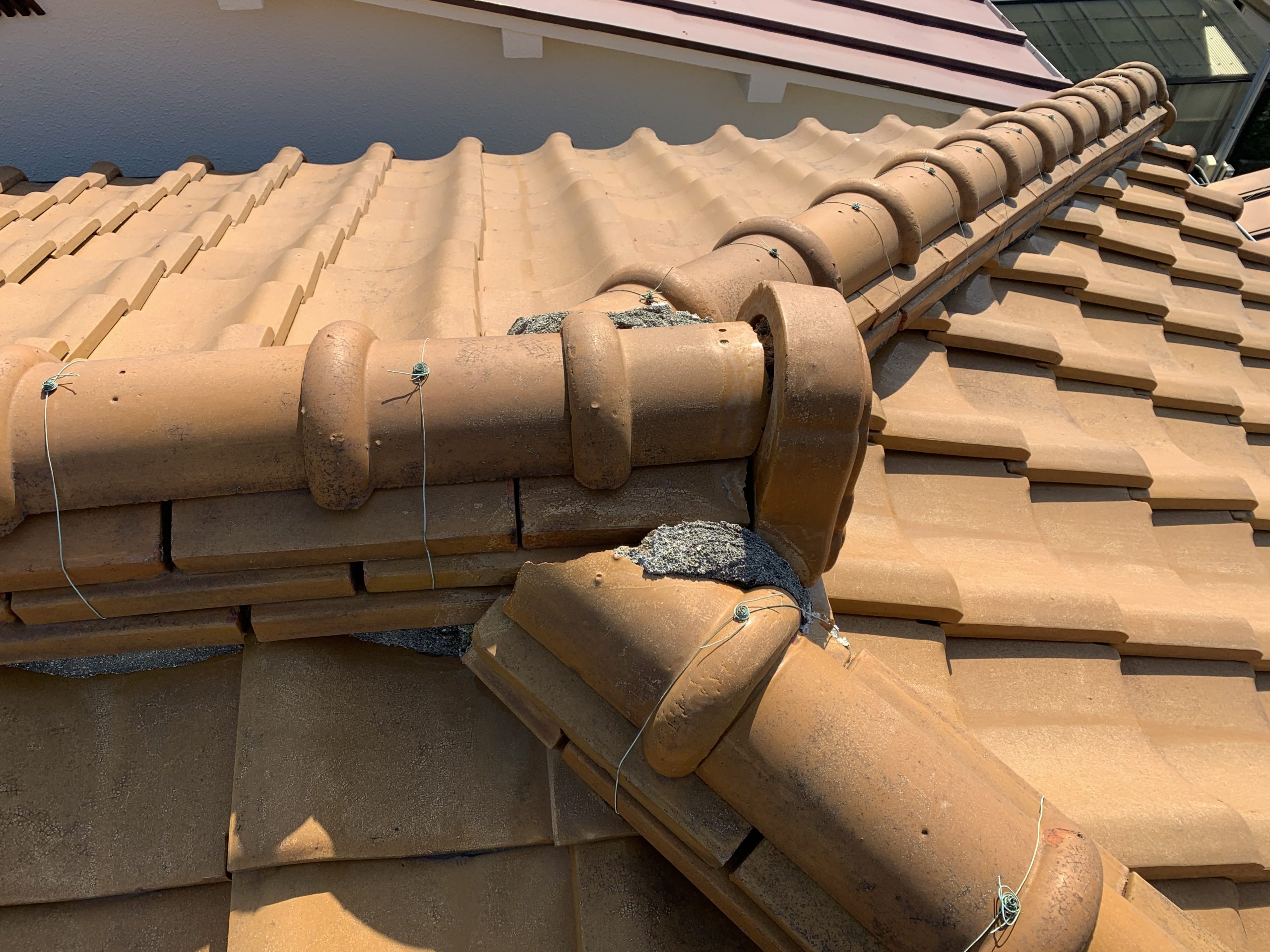 雨漏り箇所直上の棟