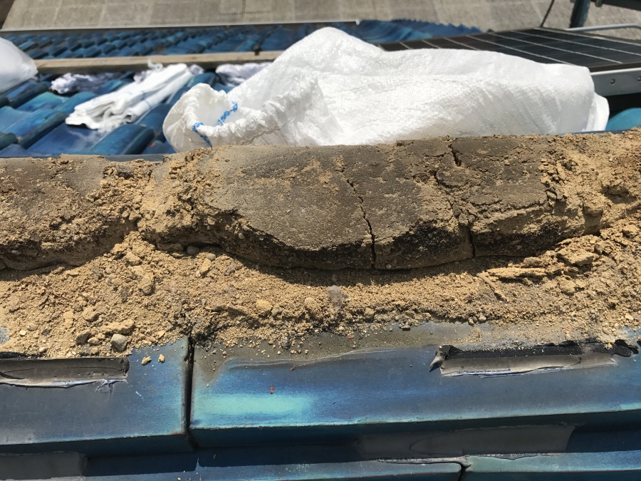 土が湿っているのがお分かりいただけますか？