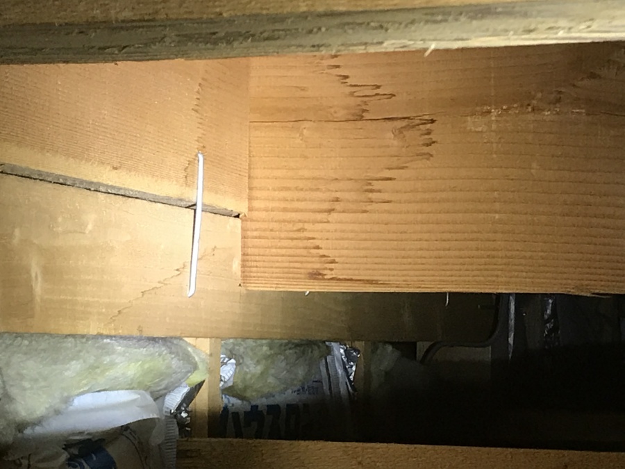 サッシ廻り　雨漏り