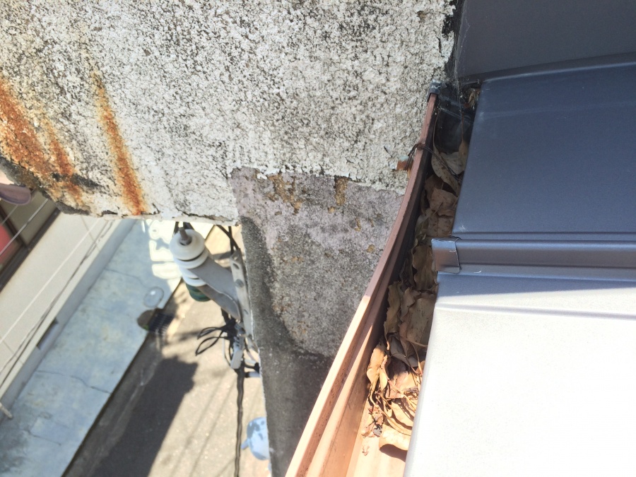 1カ月点検　また落ち葉がたまっていました。