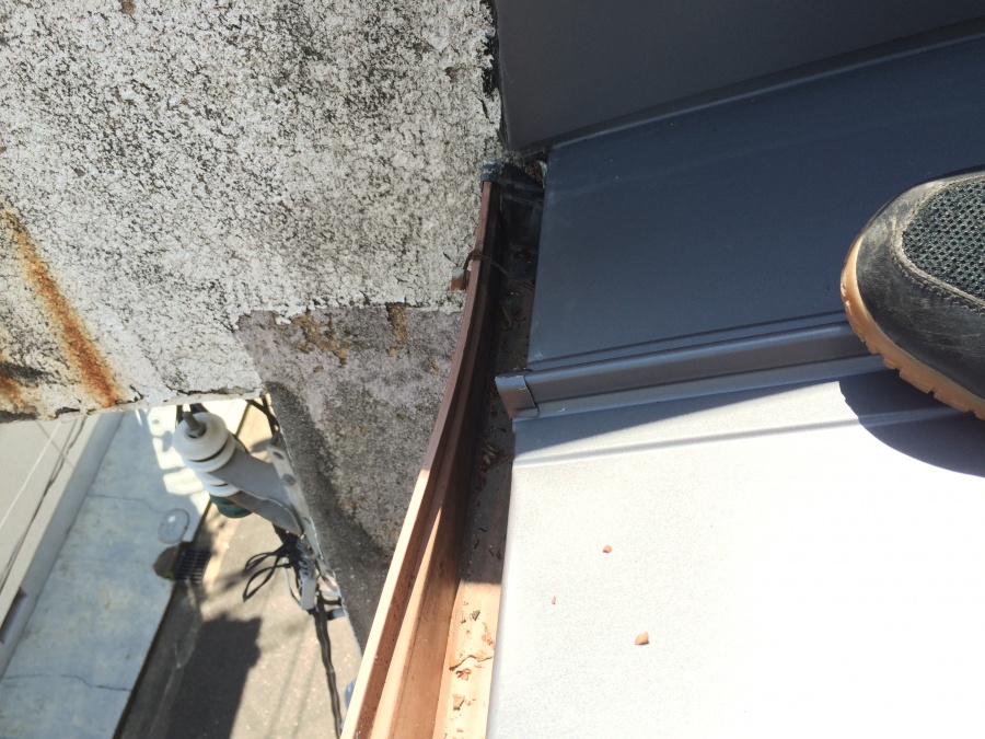 落ち葉を清掃しておきました！