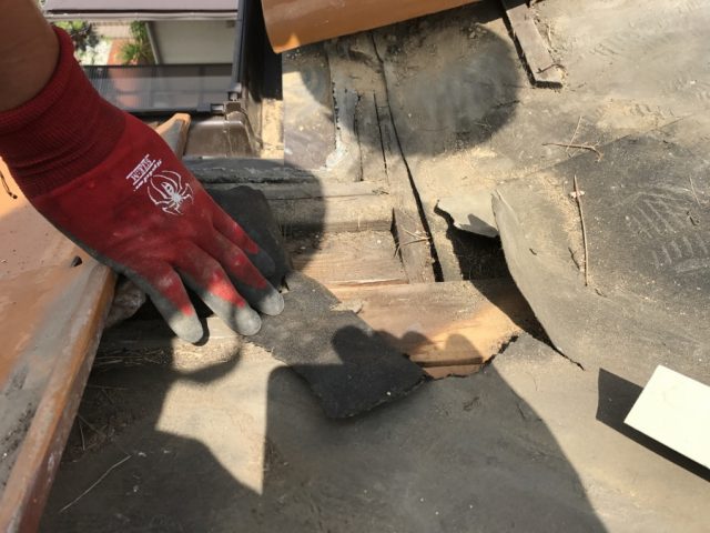 谷の下の防水シートが破れており、そこから雨が入っていることが確認できました！