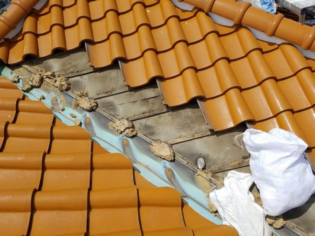 谷廻りの瓦を捲ります！