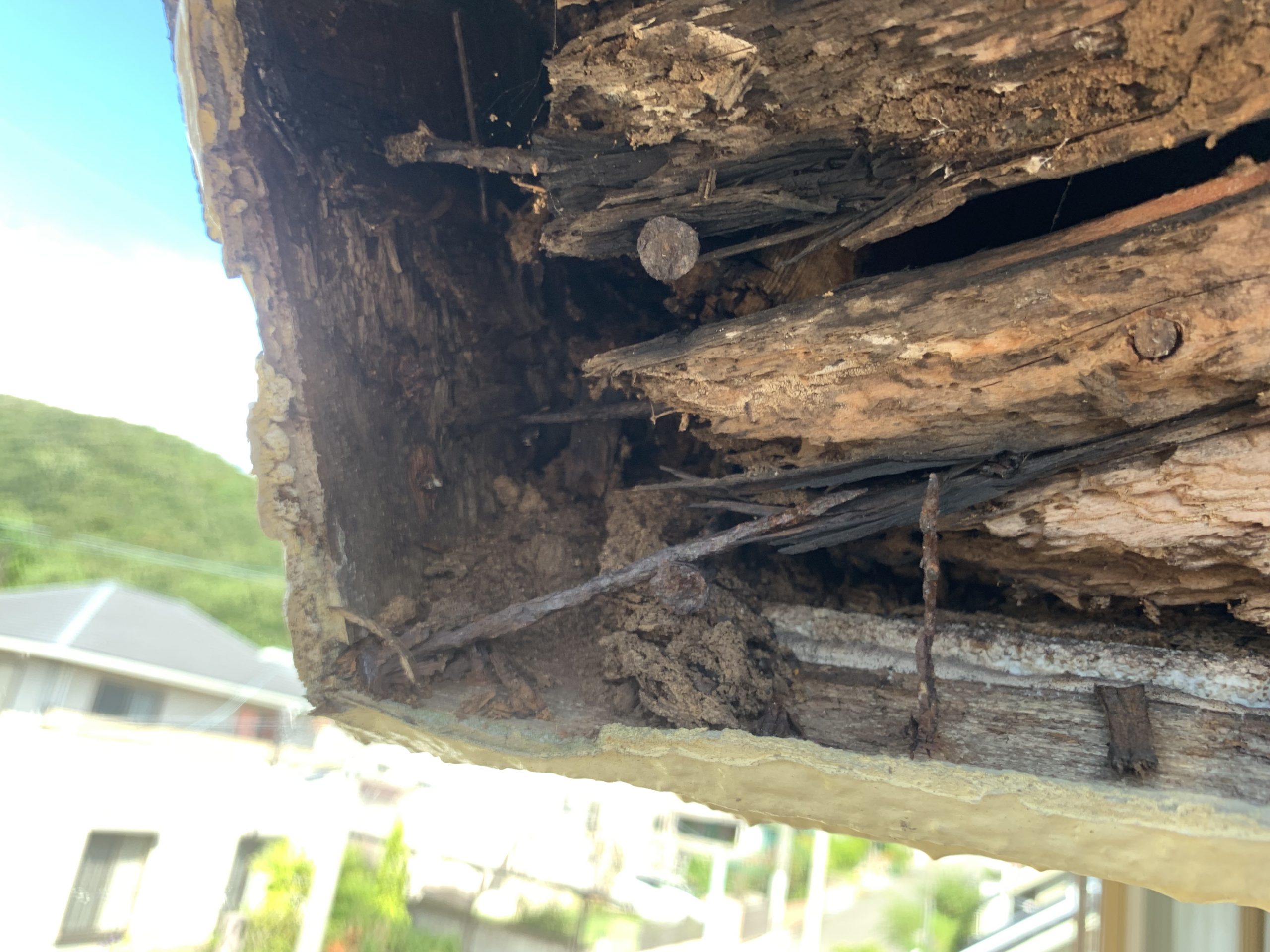屋根下地は雨漏りにより朽ちていました