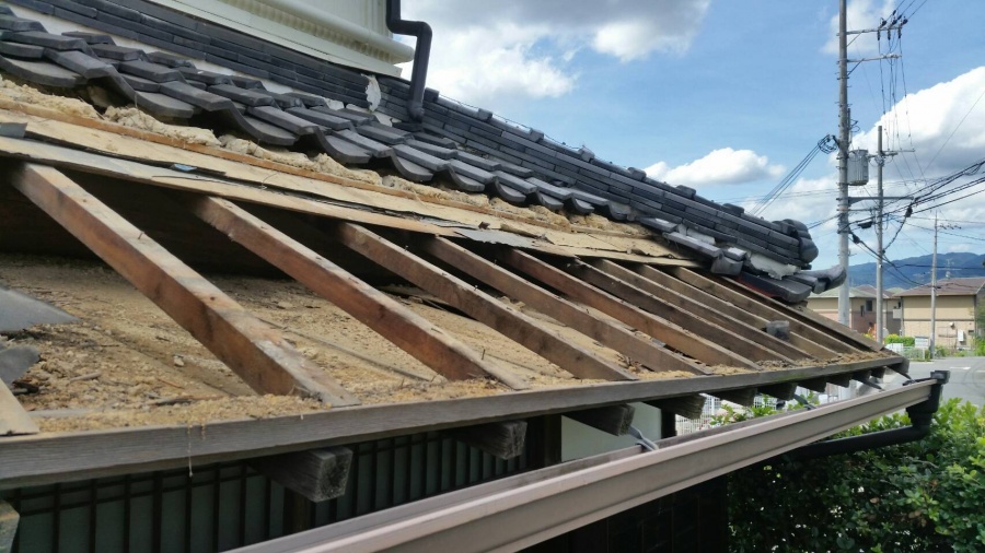 板金部分と野地板を捲ります。