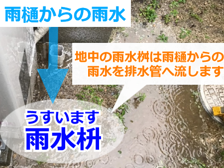 雨水桝(うすいます)の役割とは？