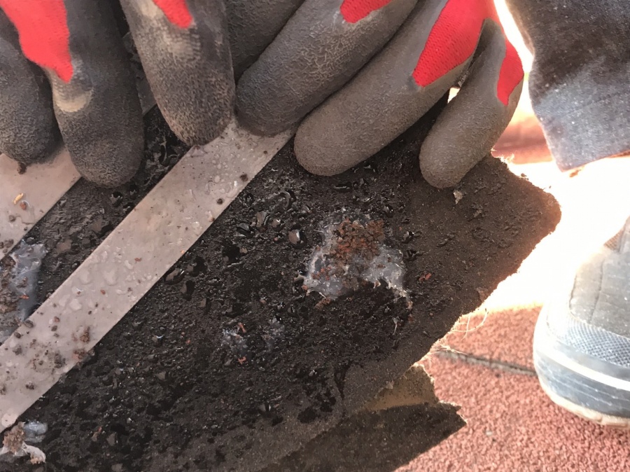 アスファルトシングル　はがれ　調査