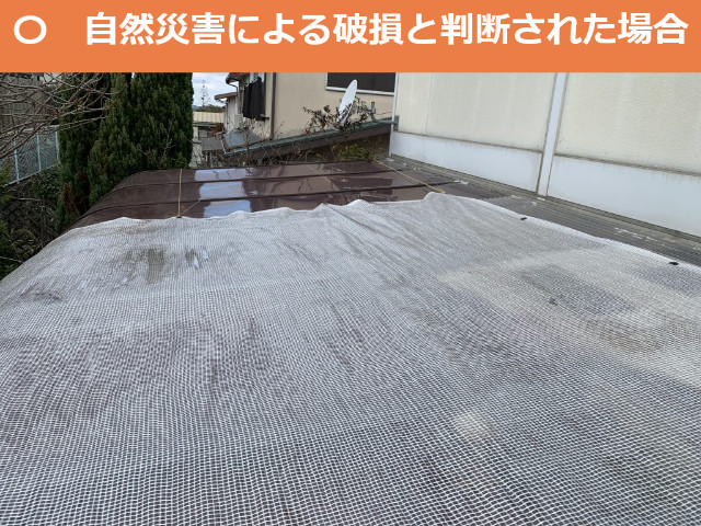 サンルーム屋根