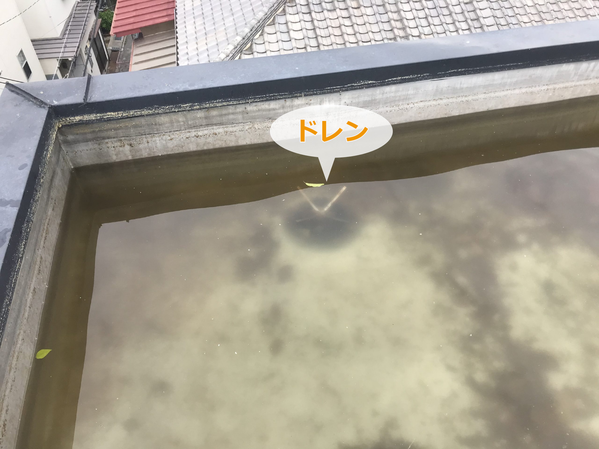 ドレン