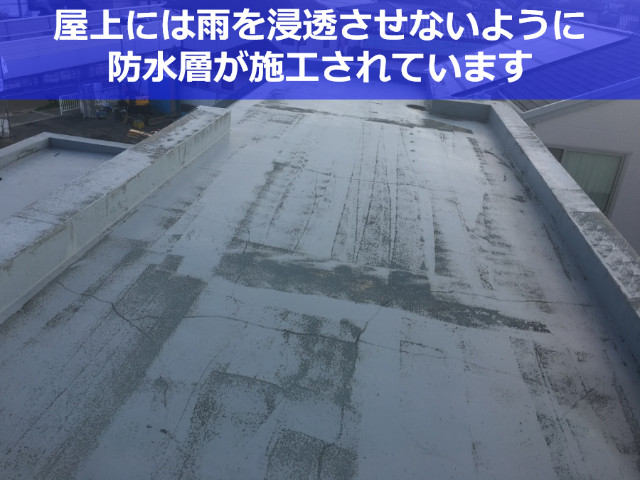 ビル屋上の防水層