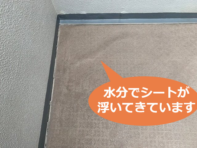 共用廊下の塩ビシート浮き