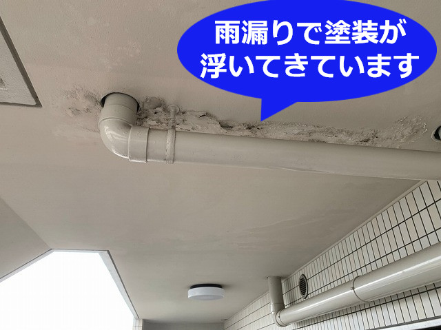 天井雨染み調査