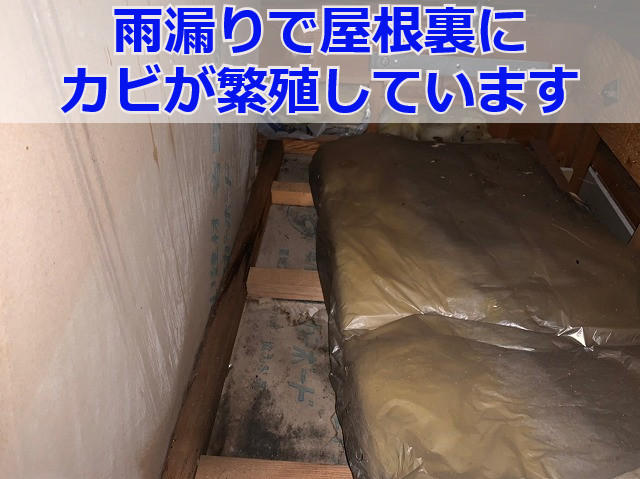 屋根裏の雨漏り