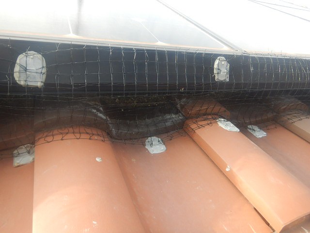 真正面ネット張り