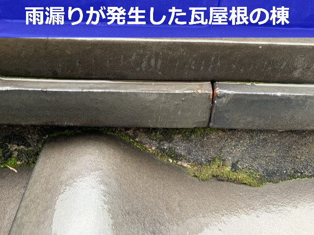 雨漏りした瓦屋根の棟