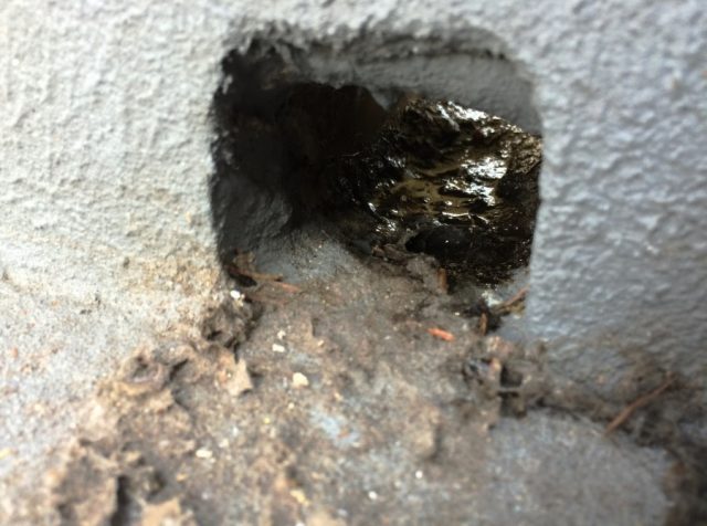 雨漏りしているベランダの排水口