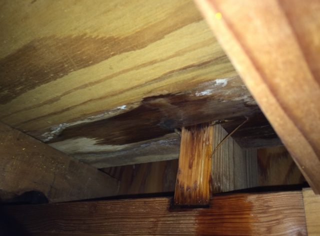 雨漏りしている天井裏