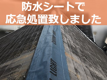 雨漏り応急処置として防水シートで養生した屋根