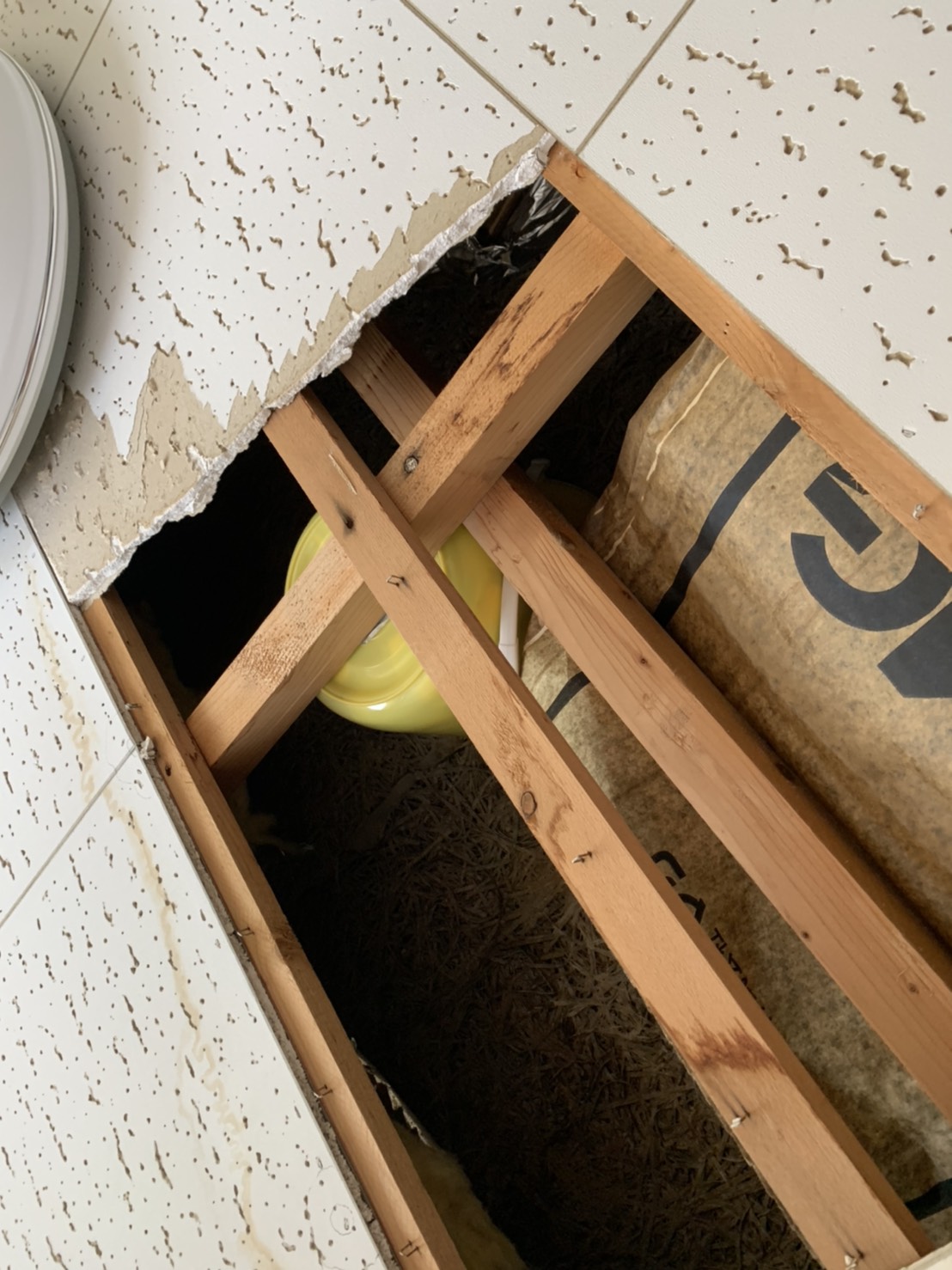 室内天井の様子