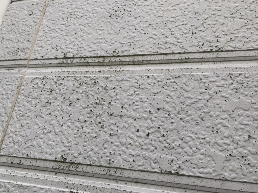 木造住宅の外壁劣化状況