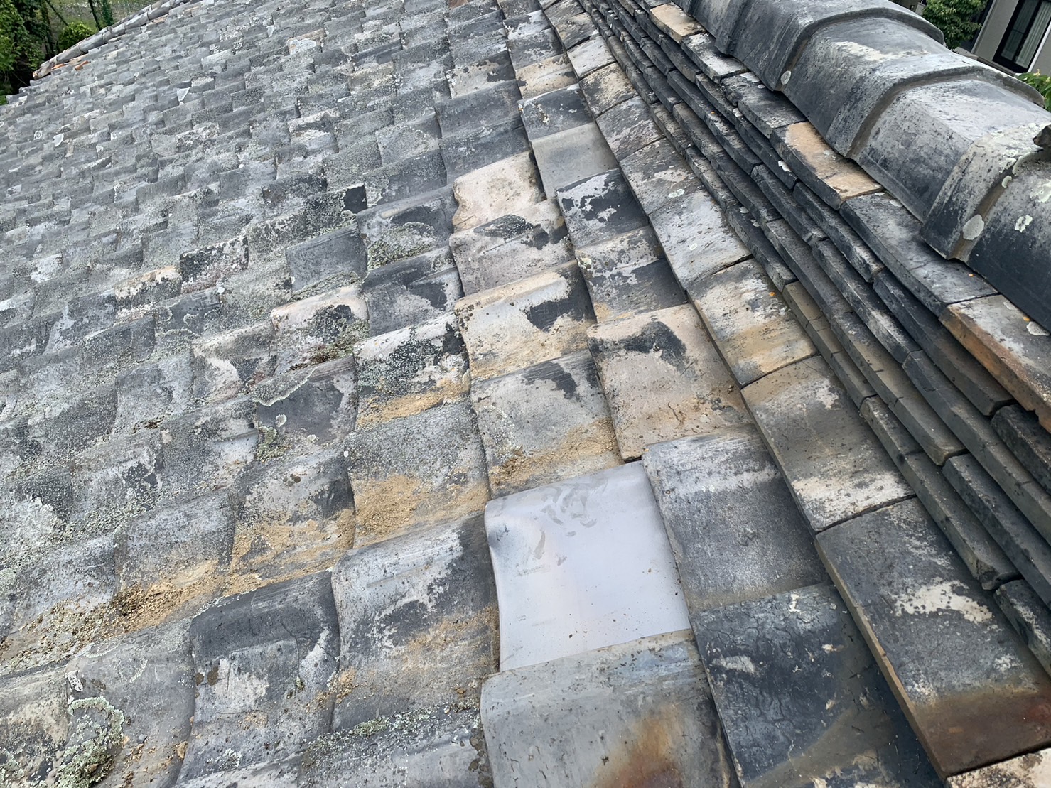 瓦劣化状態の屋根診断