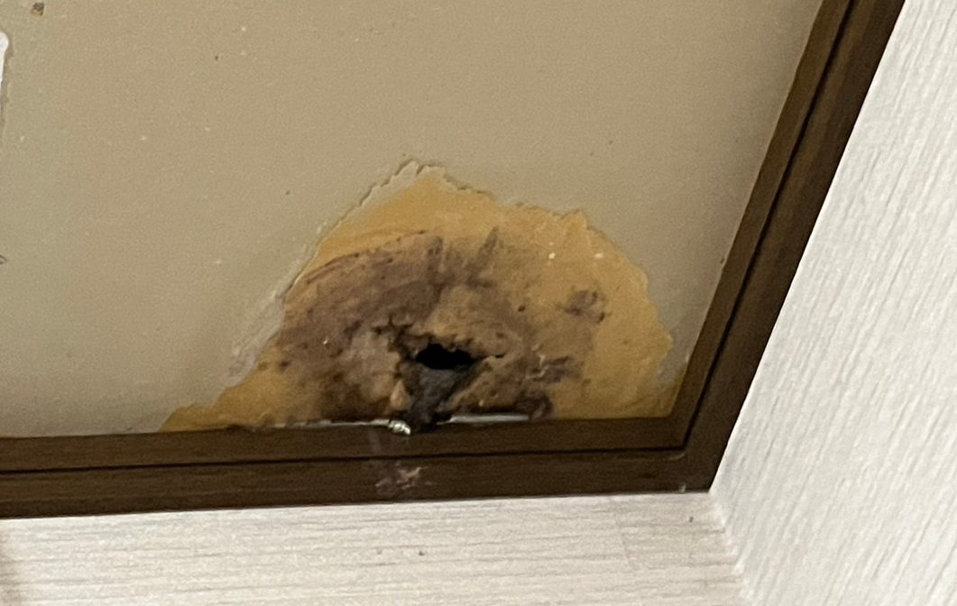 排水管からの漏れ経路