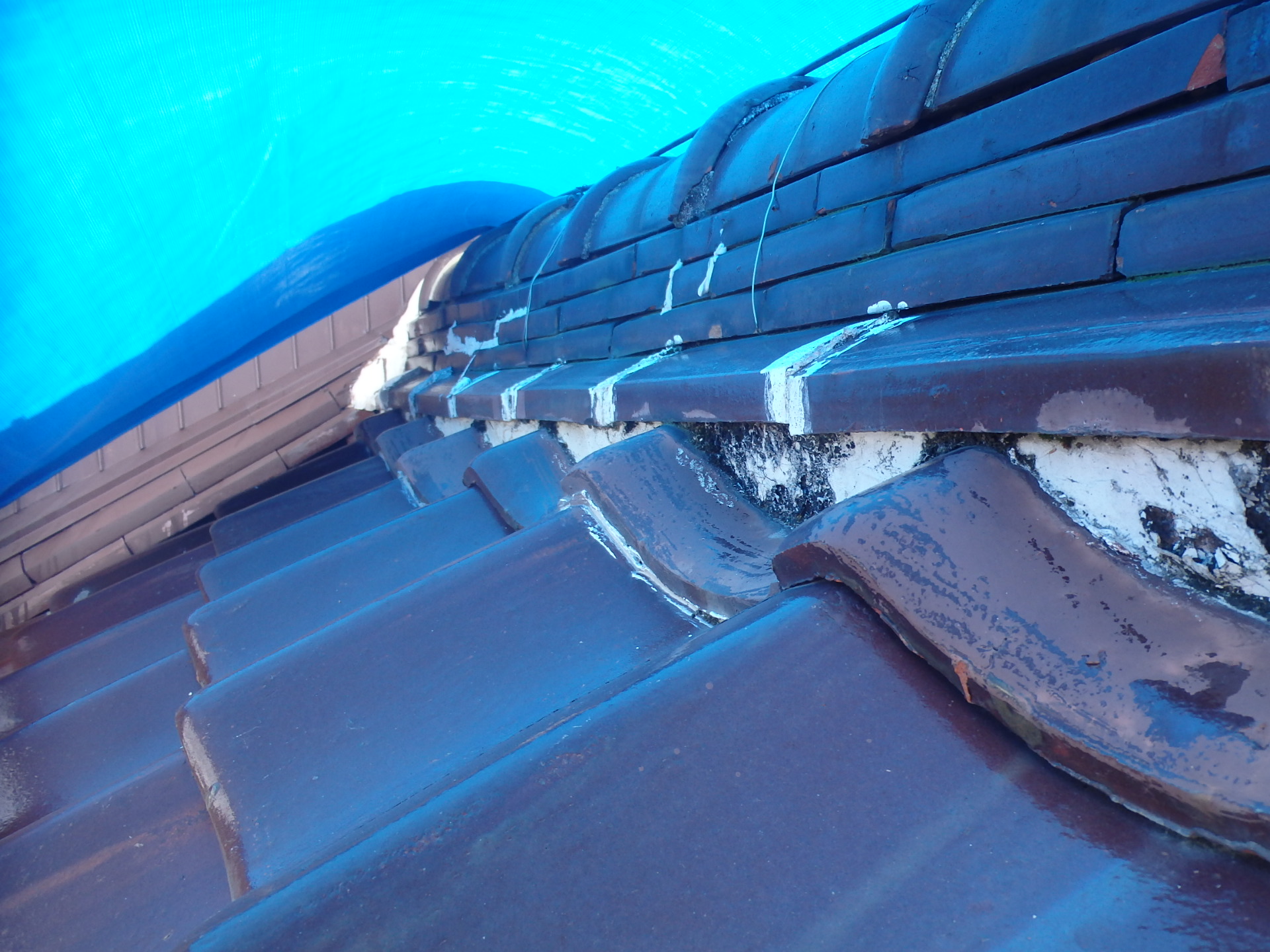 早急な応急処置