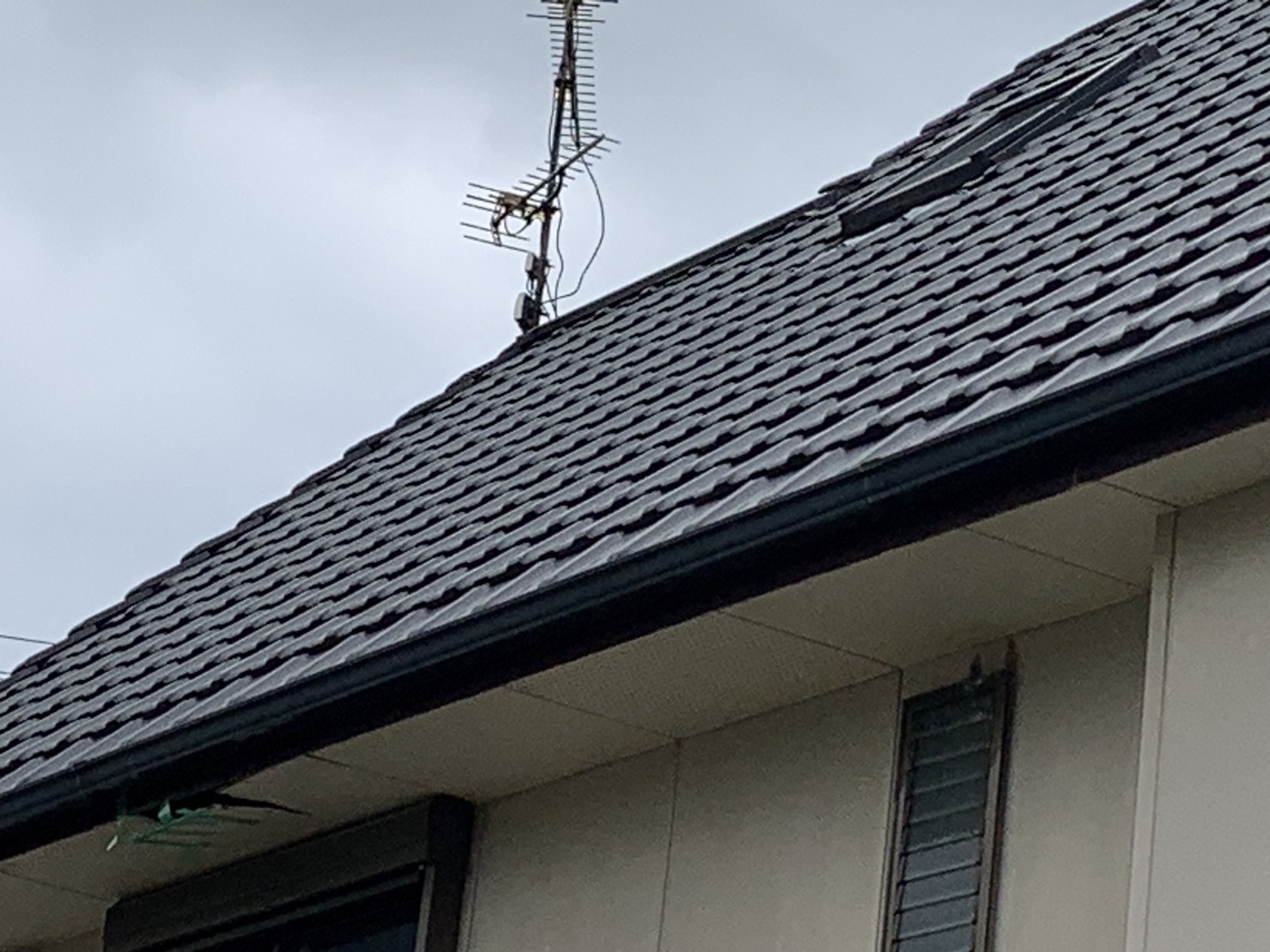 軒天から雨漏れの原因はトップライト(天窓)