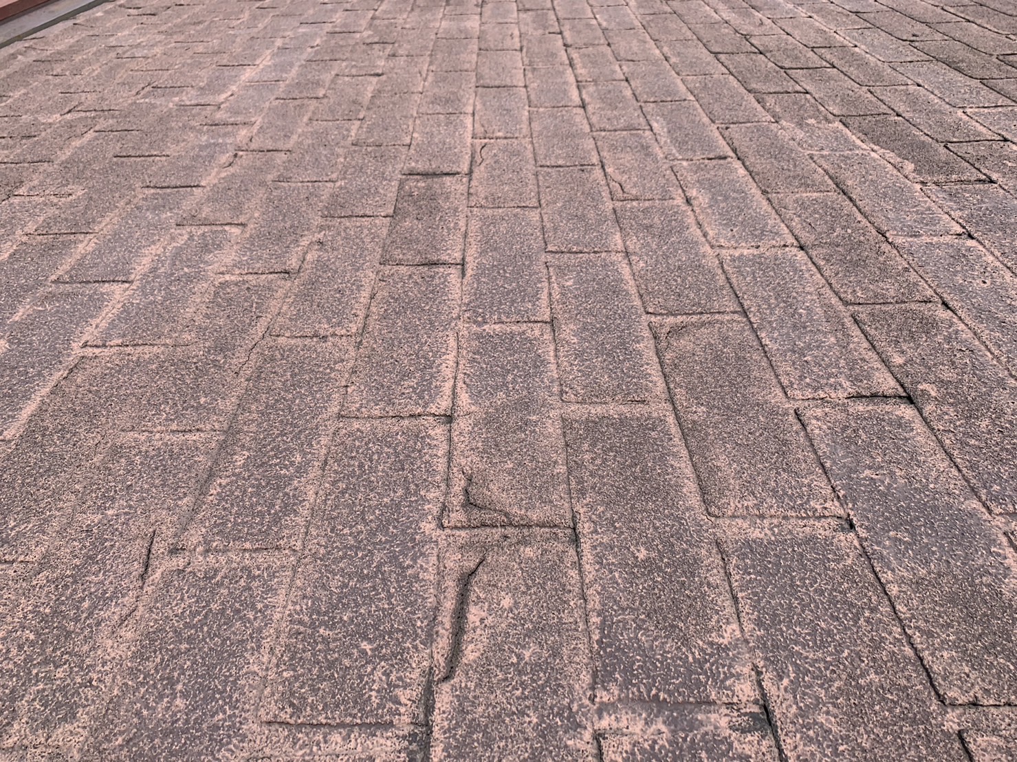 アスファルトシングルの意匠（近景）