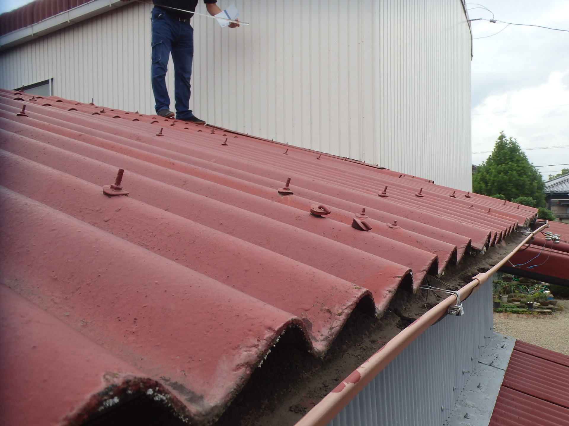 雨樋劣化（左右）