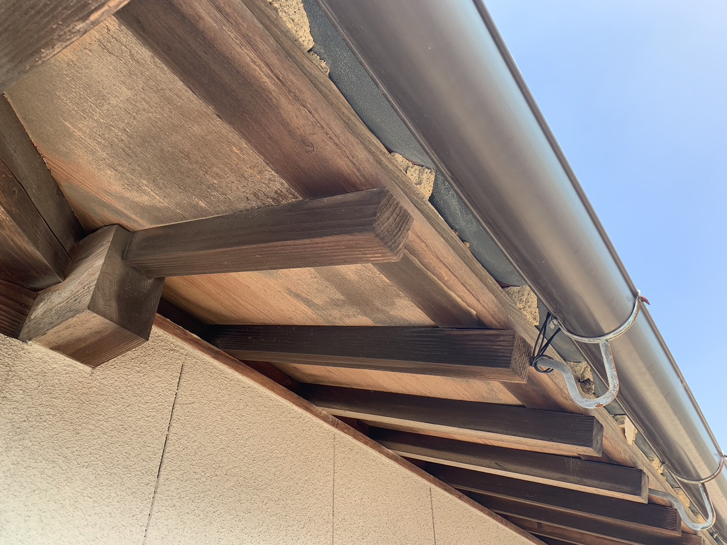 鼻隠し（はなかくし