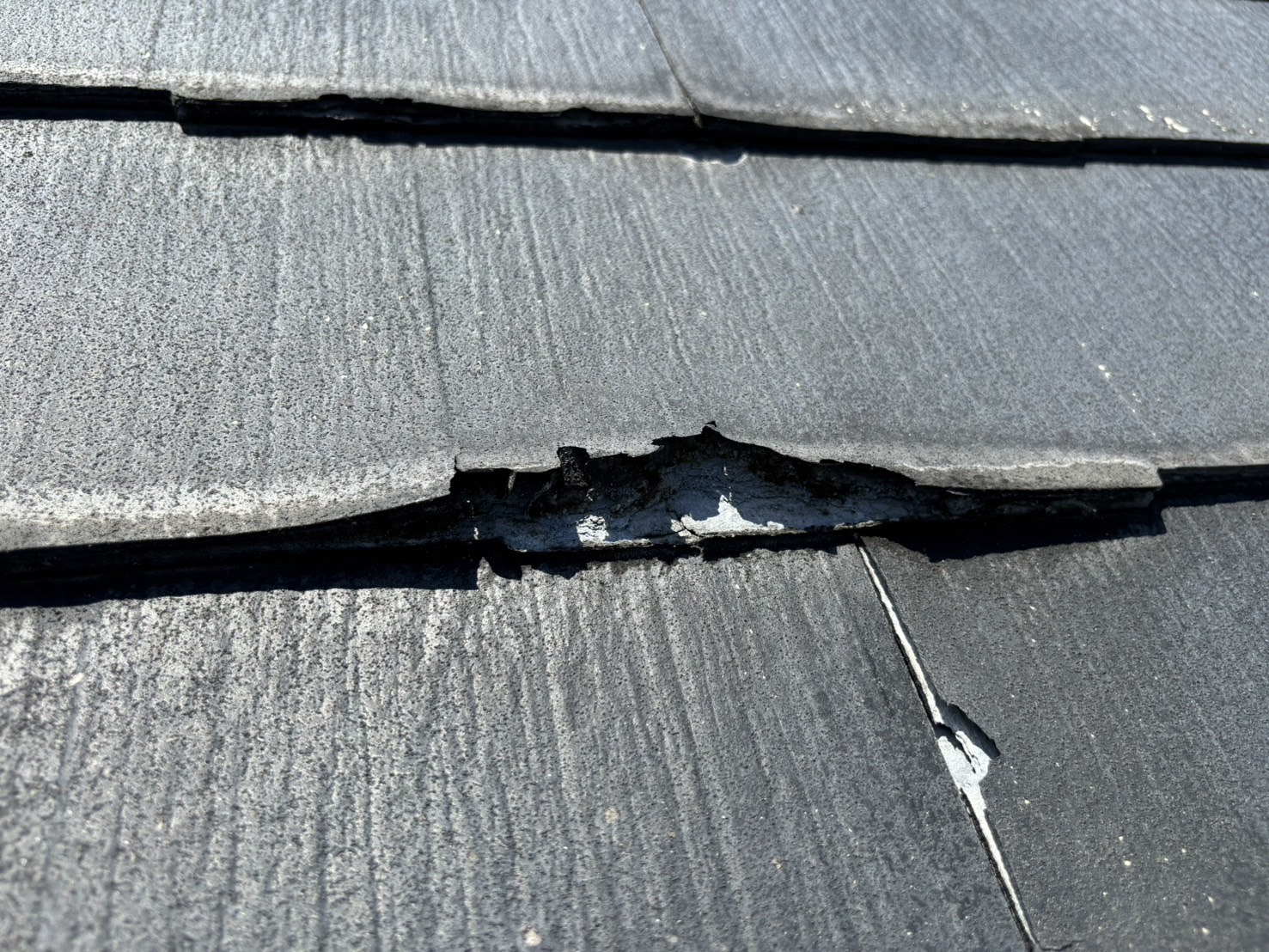 春日井市ニチハパミール