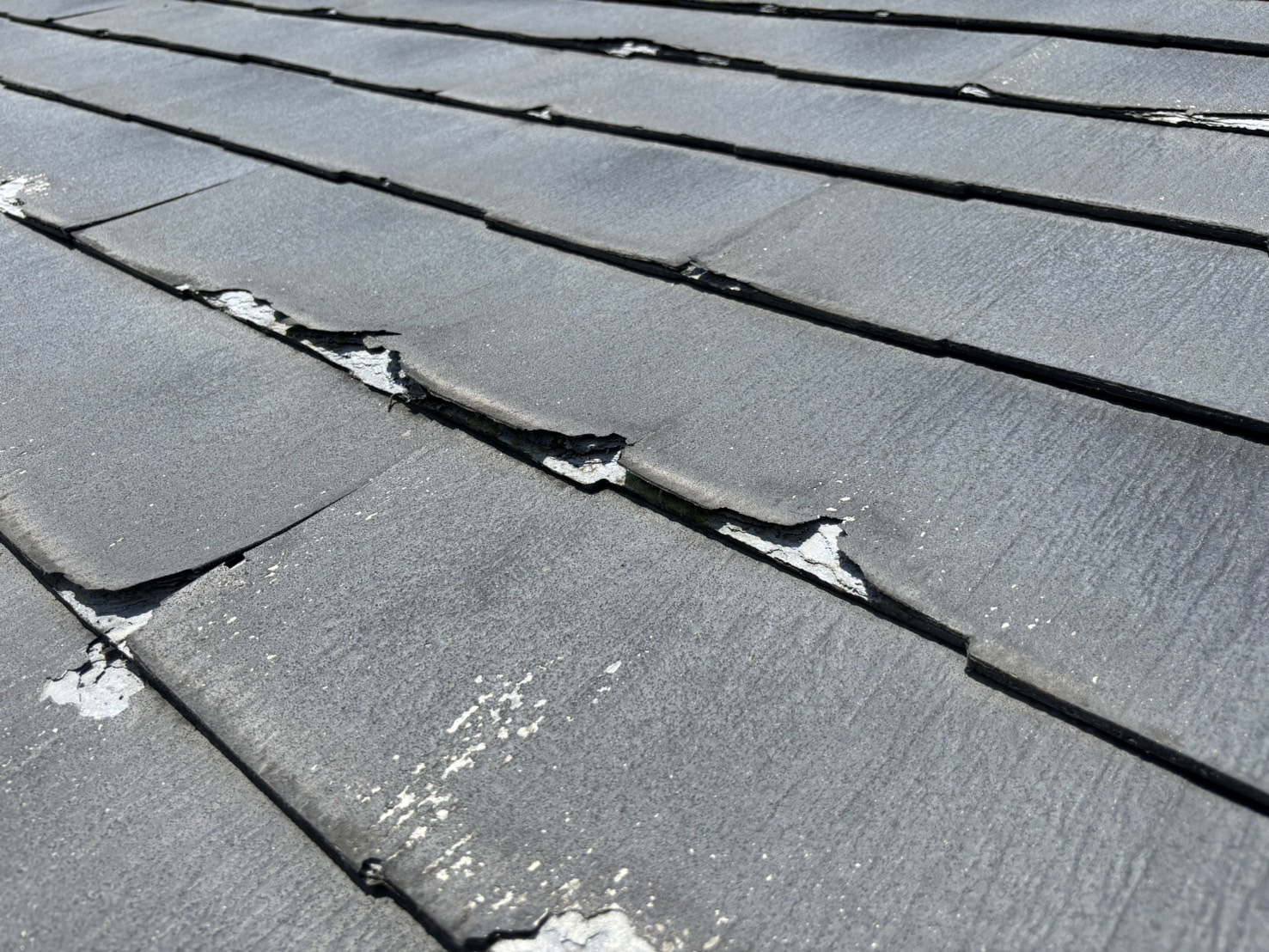 春日井市ニチハパミール