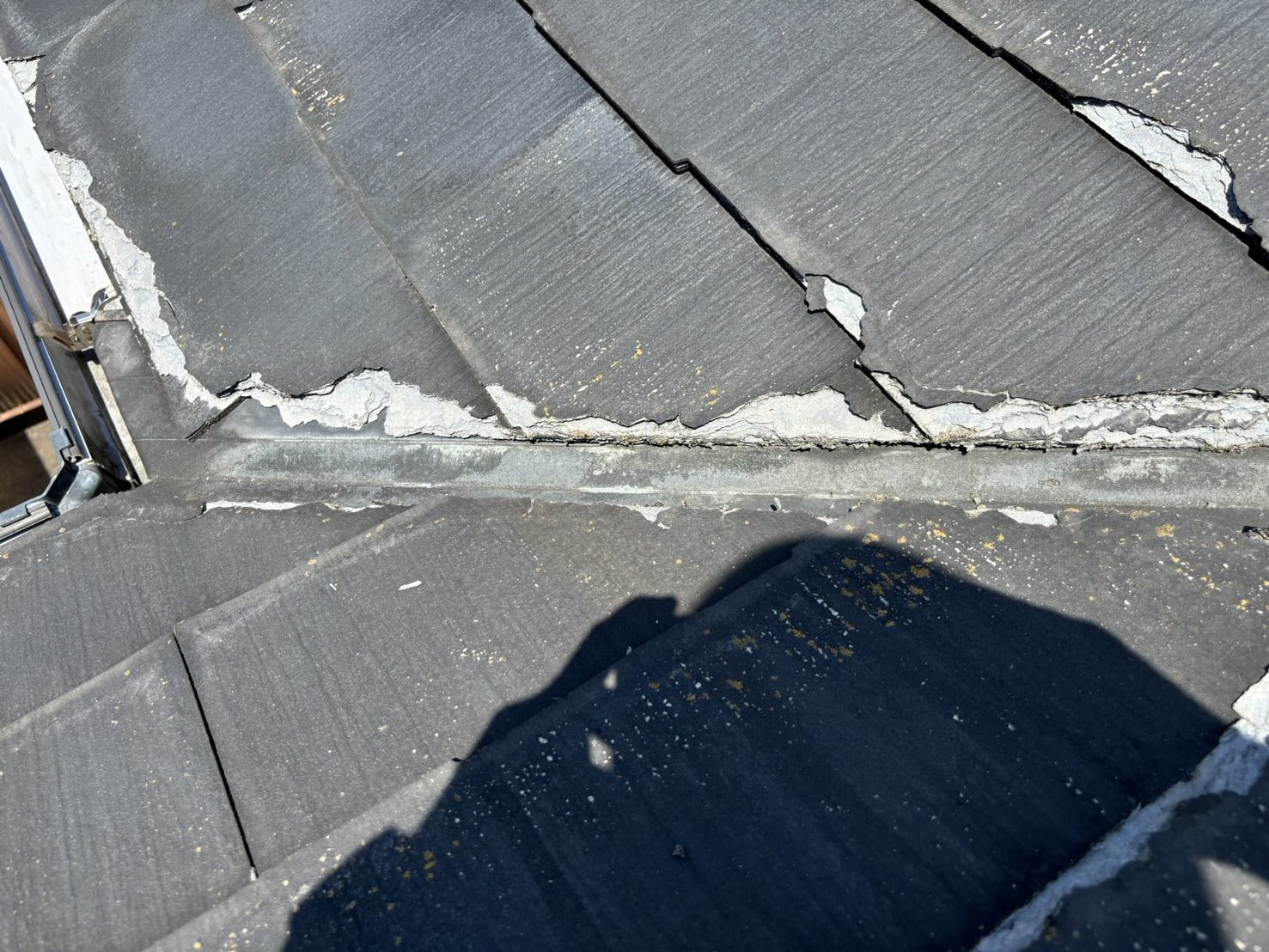 春日井市ニチハパミール