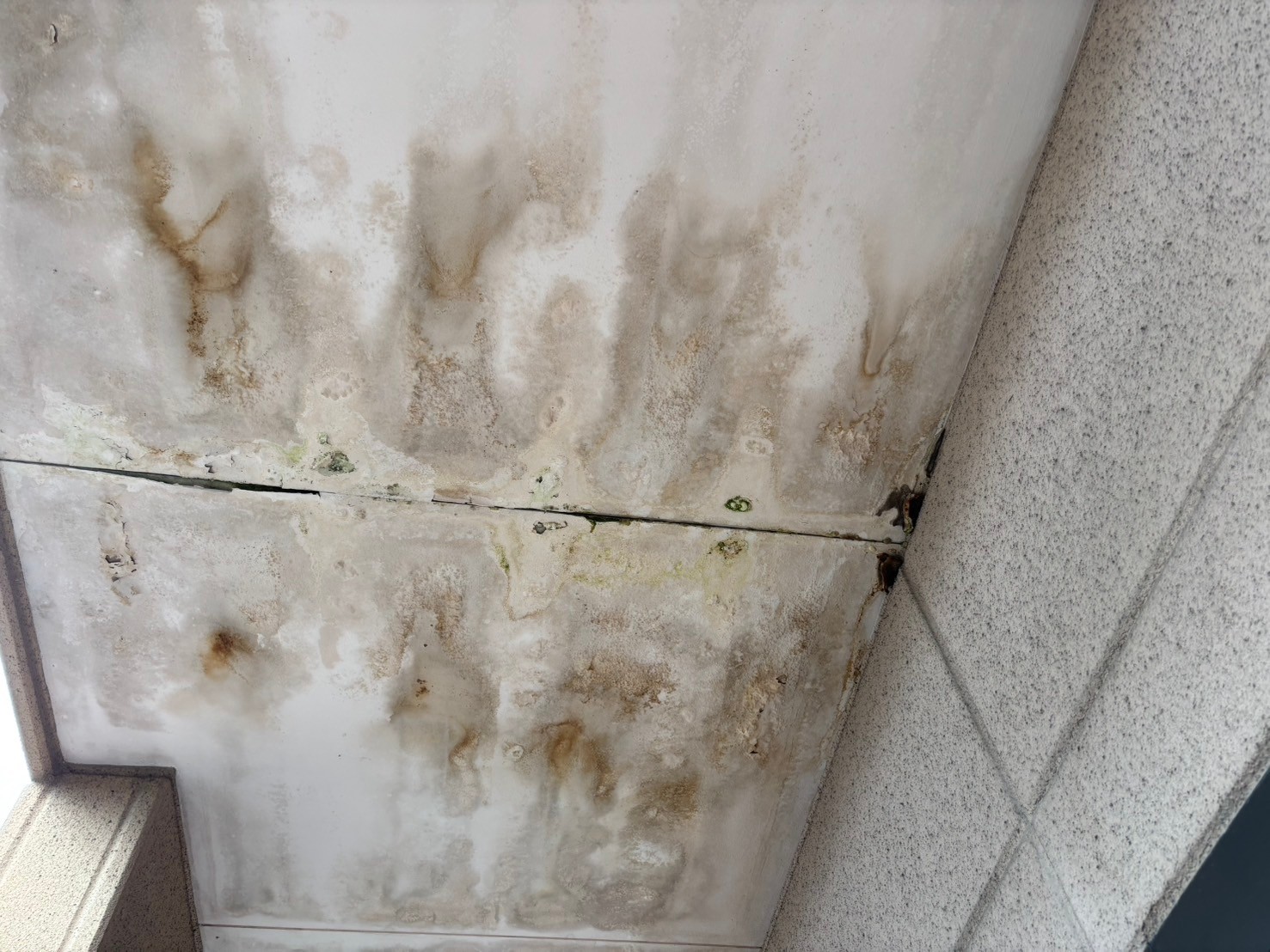 春日井市雨漏り状況