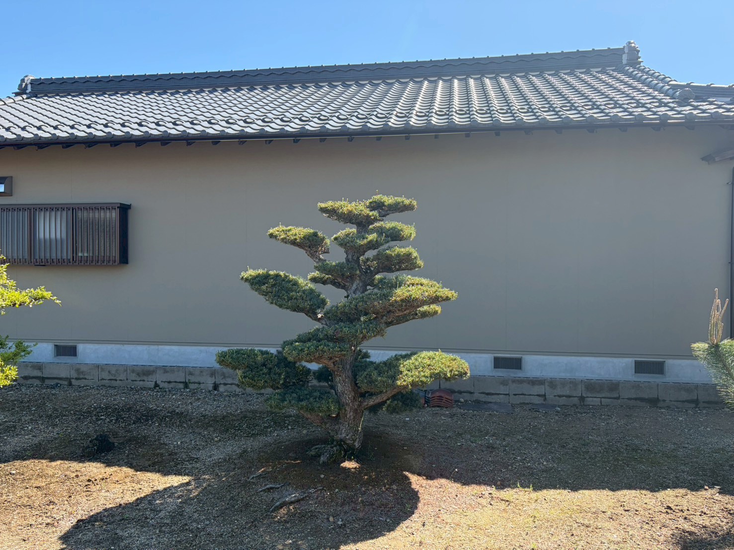 外壁高圧洗浄を行う春日井市の平屋住宅 外壁下塗り施工中の様子
