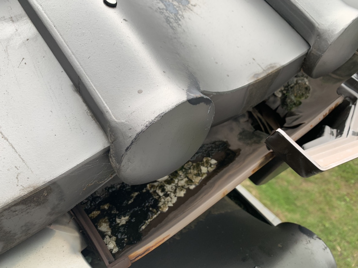 雨樋の中の写真