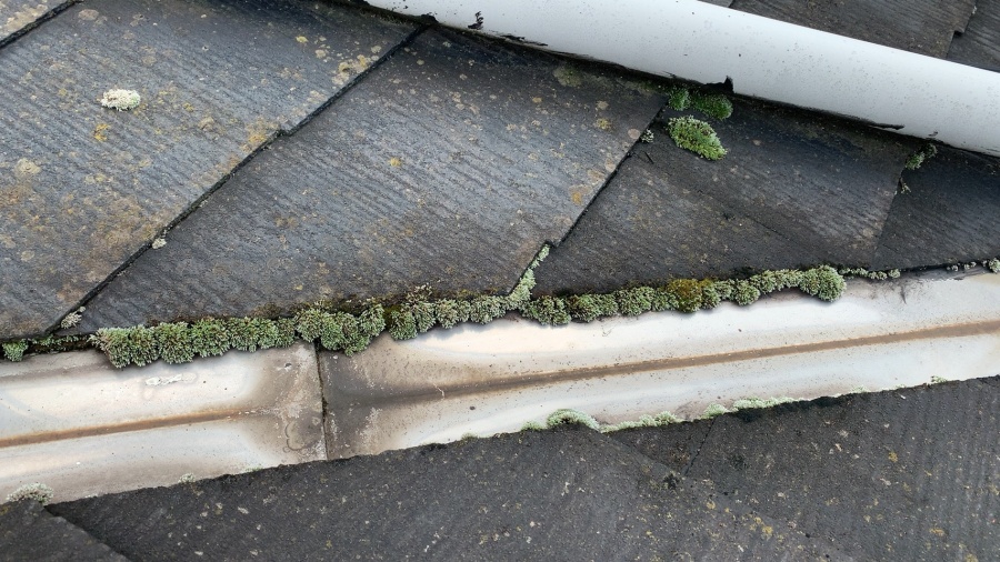 カラーベストと谷樋