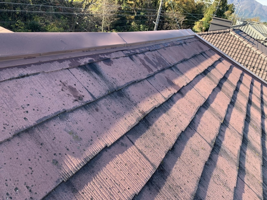 棟板金部分の写真