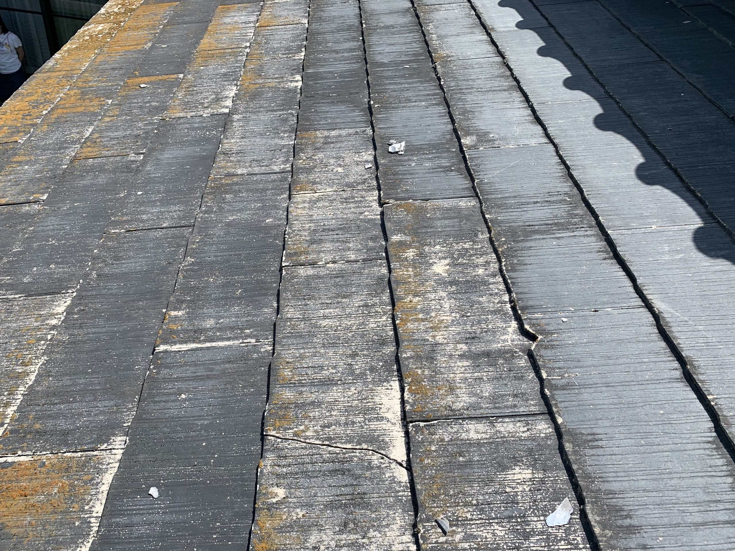 一階下屋のカラーベストの状態