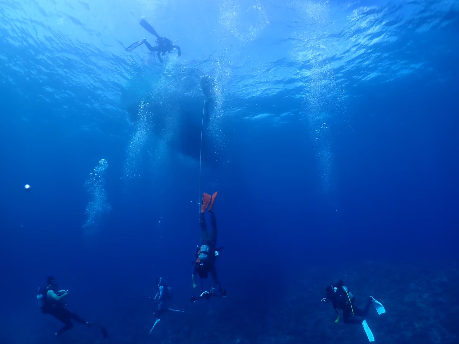 石垣島ダイビング防水職人