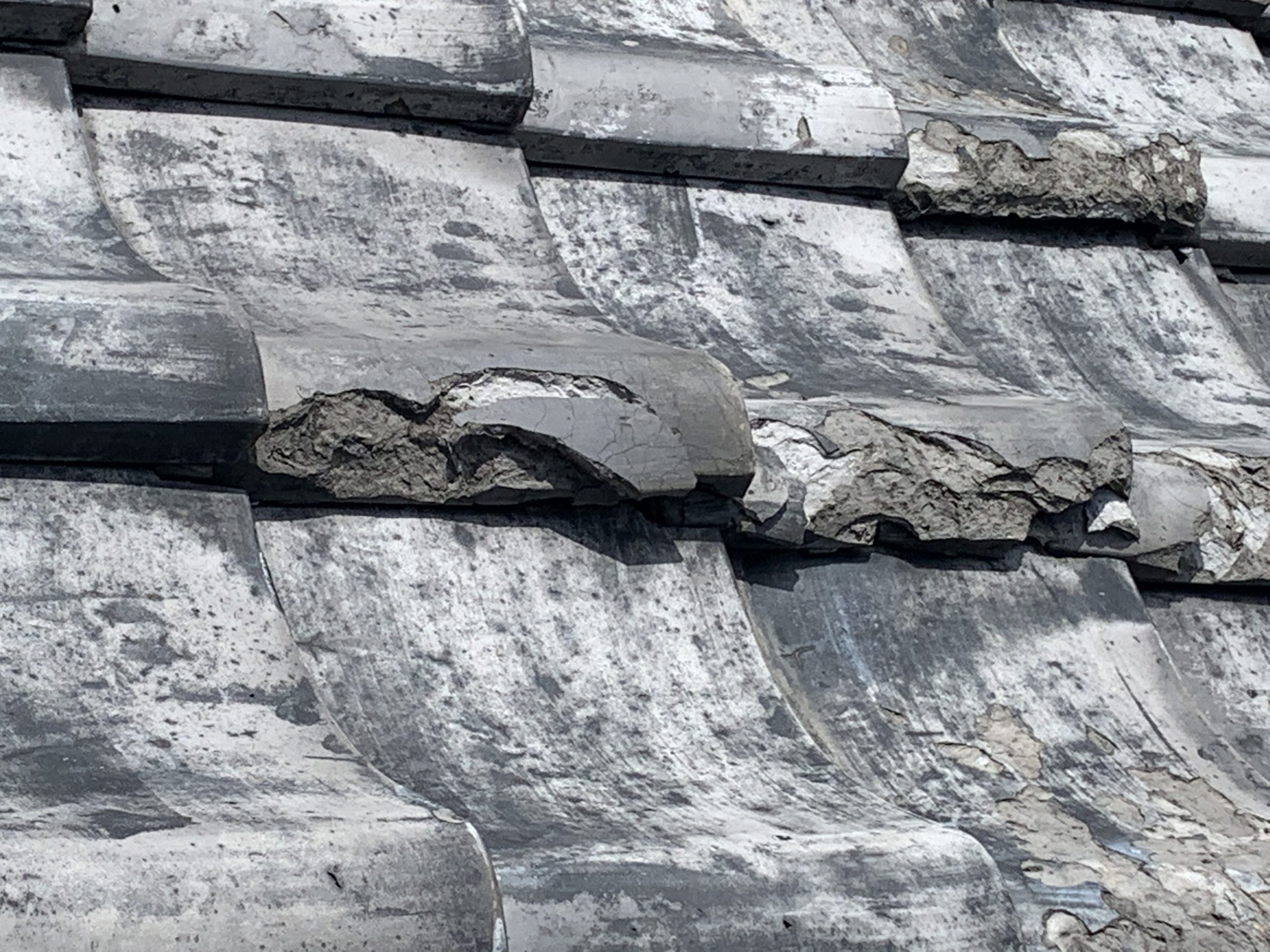 瓦の割れや欠け、凍て割れが多数