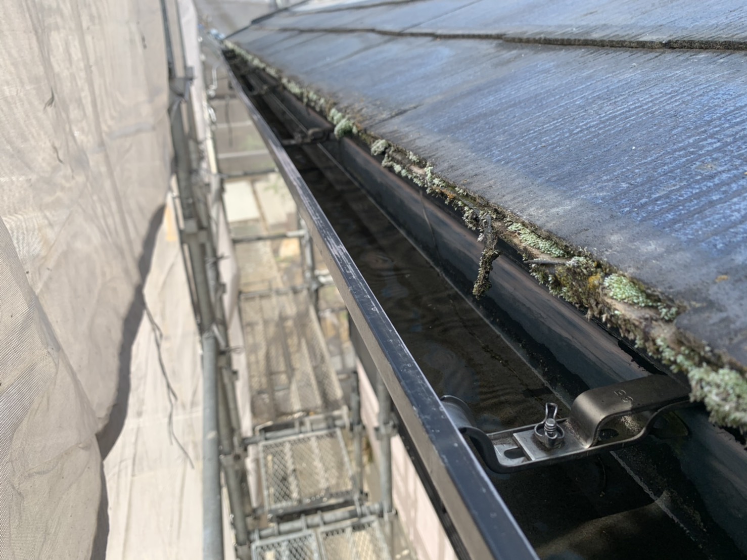 雨樋の中の写真