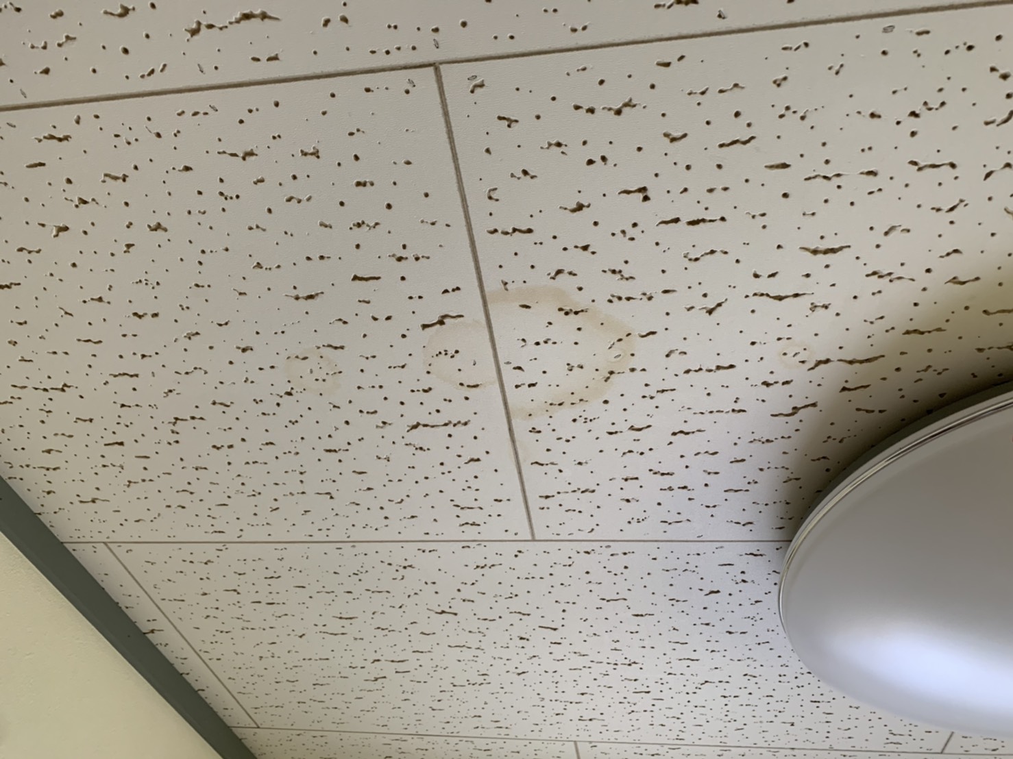 天井の角の腐食