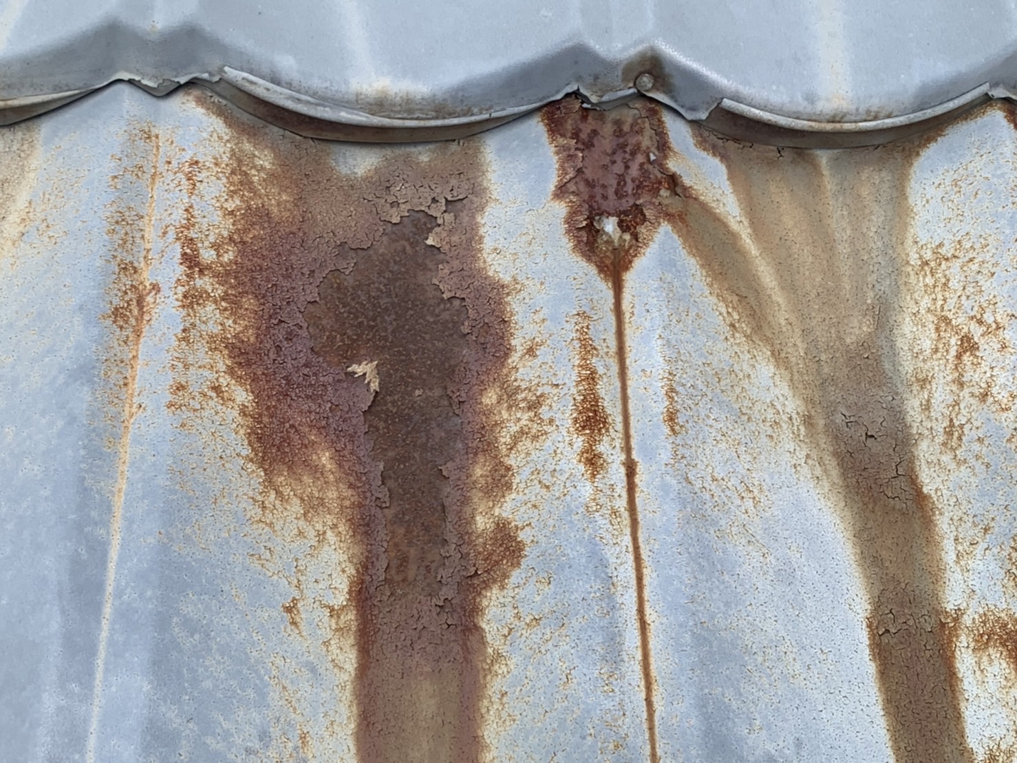 金属瓦の現地調査風景